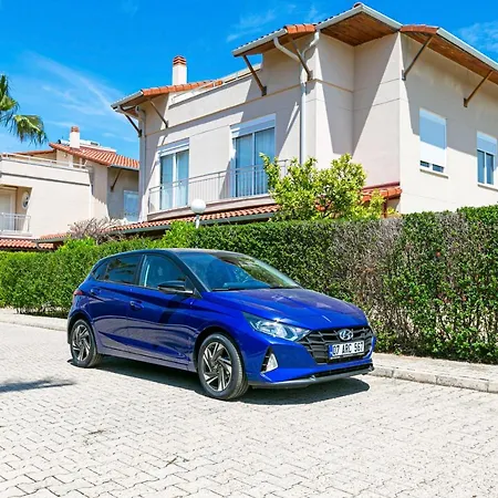 Paradise Town Orchard