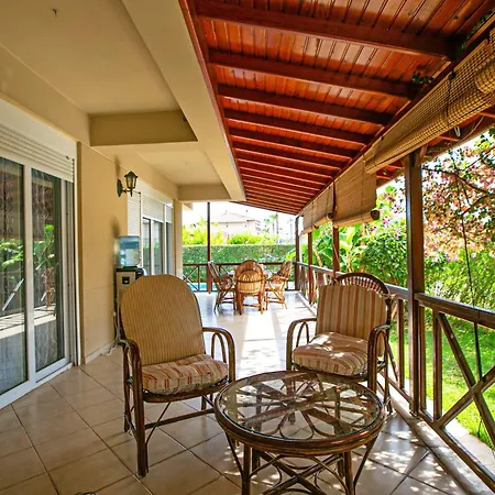 Paradise Town Orchard