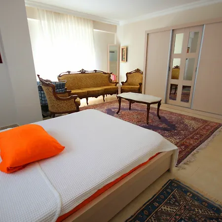 Paradise Town Orchard