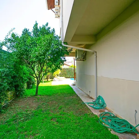 Paradise Town Orchard *